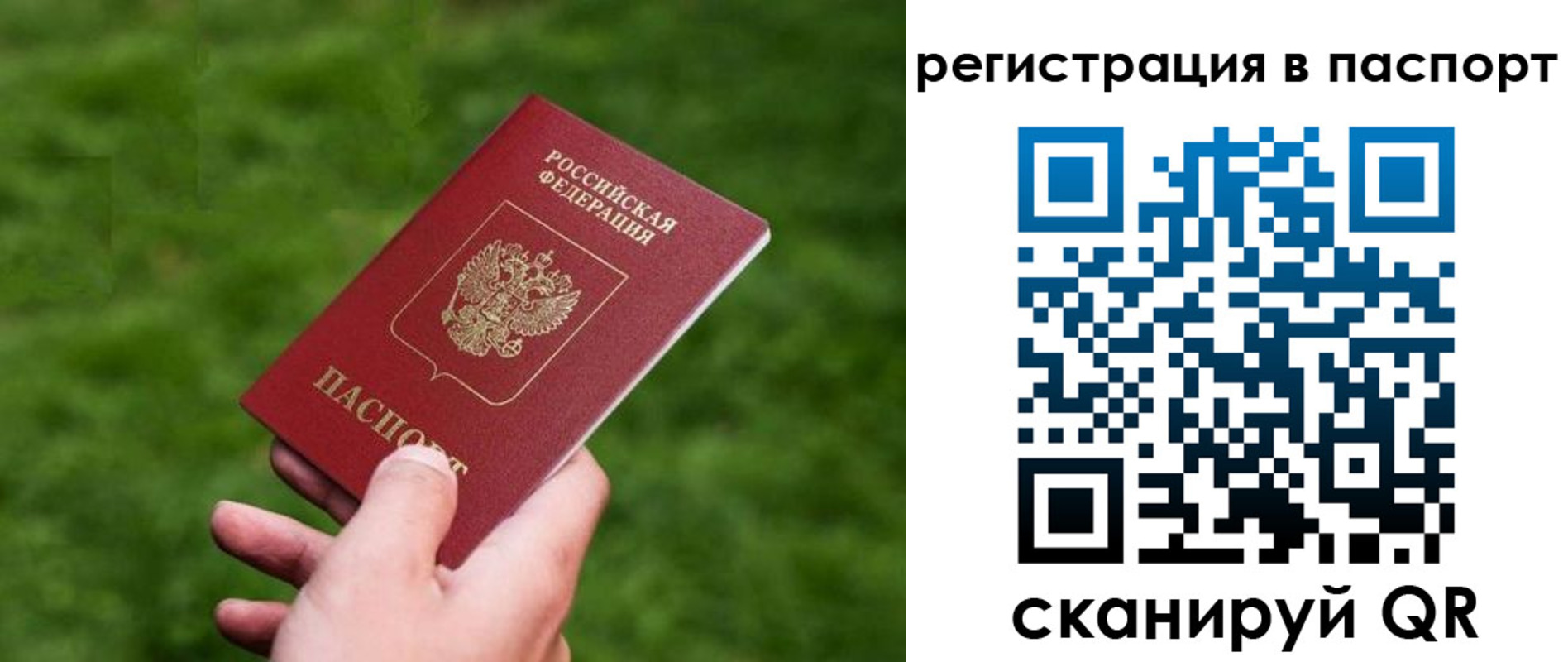 пропишу в квартире в Лосино-Петровском